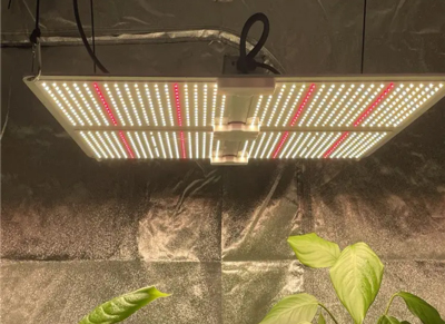 PhotonGro4 alkalmazása